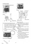 Yanmar Fuel Injection Equipment Service manual for Yanmar Fuel Injection Equipment YPD-MP2/YPD-MP4 Series