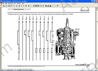 Man Service CD engine and transmission service Information