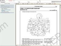 Lexus IS300, IS 250, IS 220d RUS repair manual, electrical wiring diagrams