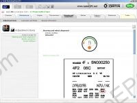 WORKSHOP Vivid 7.1 CD 2007 repair manulas and electrical wiring diagrams for all european models