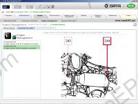 WORKSHOP Vivid 8.1 DVD 2008 repair manulas and electrical wiring diagrams for all european models.