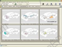 Toyota + Lexus USA spare parts catalogue