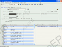 Kia All 2006 Mobis, spare parts for all models and regions of firm KIA