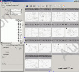Delphi Direct Evolution 