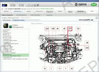 WORKSHOP Vivid 7.1 CD 2007 repair manulas and electrical wiring diagrams for all european models